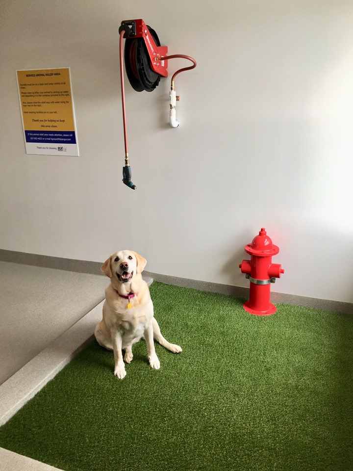 Terminal Information Bangor International Airport
